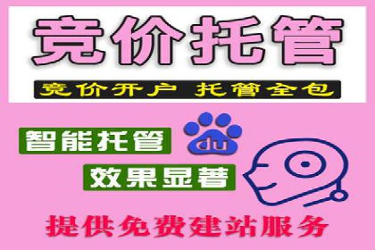 百度推广开户实战：从新手到高手的成长之路